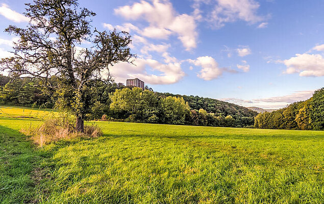 Lahneck (B1013) - Photo 28