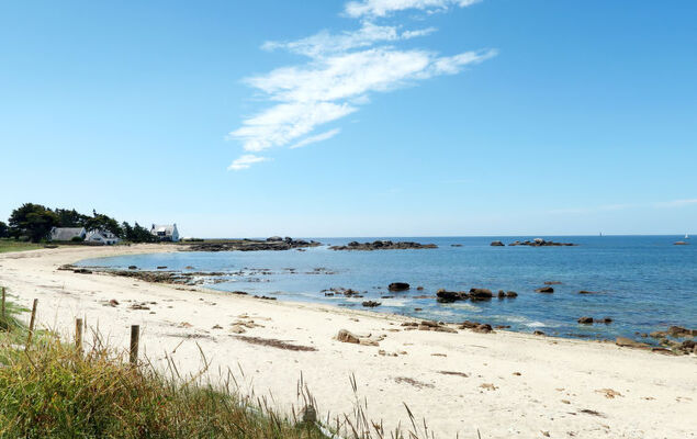 Ty Pendruc - Photo 28