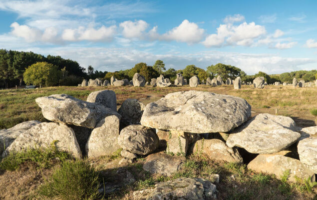 Ty Mam Goz - Photo 19