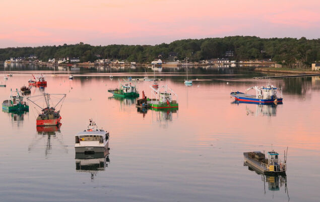 Ty Mam Goz - Photo 22