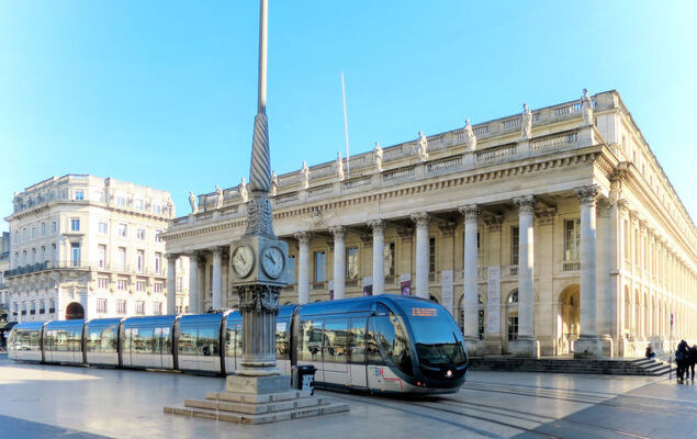 Mandarine - Photo 23