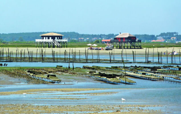 Côté Bassin - Photo 39