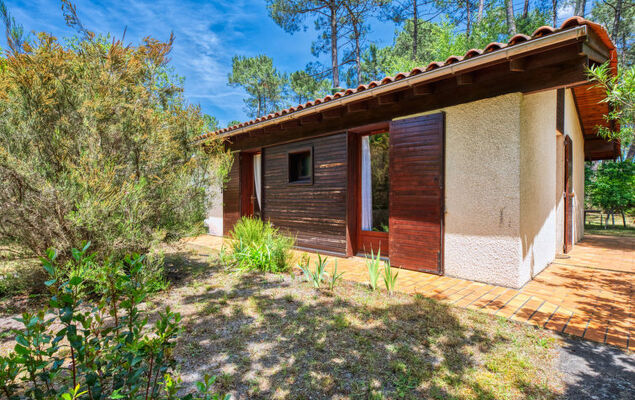 Marina de Talaris - Photo 16