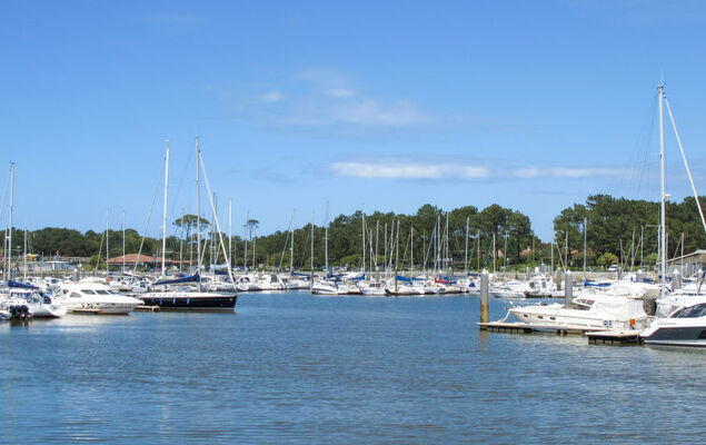 mille sabords - Photo 20