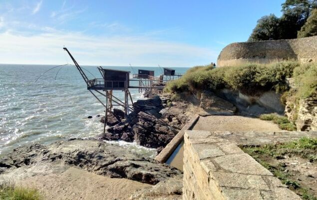 Plein Océan - Photo 47