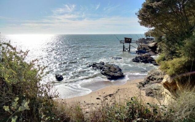 Plein Océan - Photo 48