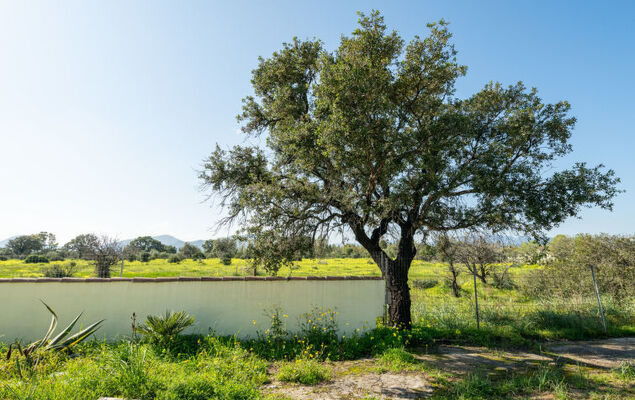 Sa Frontera - Photo 22