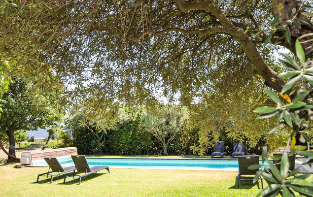 L'Oustaou dei Figo - Photo 39