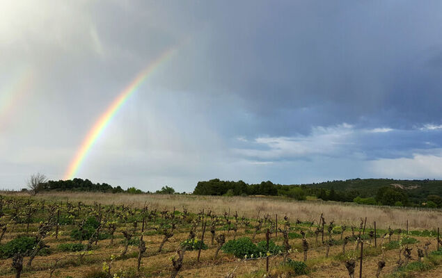 La Maison des Cades - Photo 36