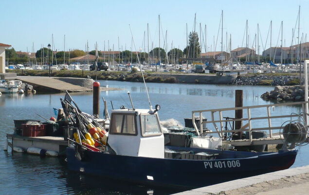 Laguna Beach - Photo 31