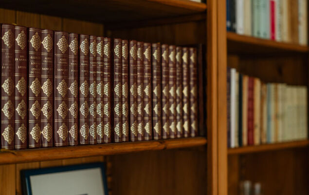 Le Prince Noir - Photo 6