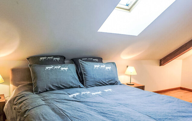 Le Chalet Suisse - Photo 7