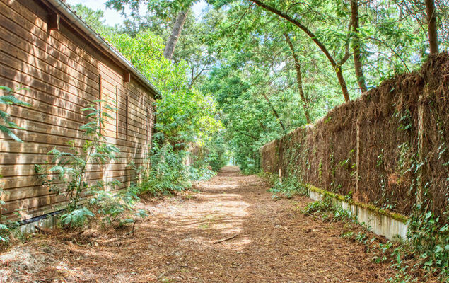 Cottage Etoile de mer - Photo 43