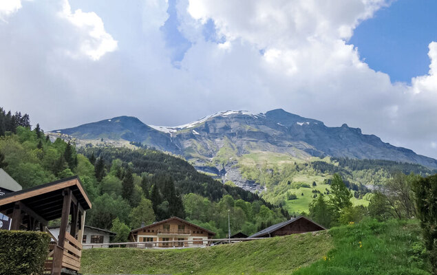 Le Brûlaz - Photo 13